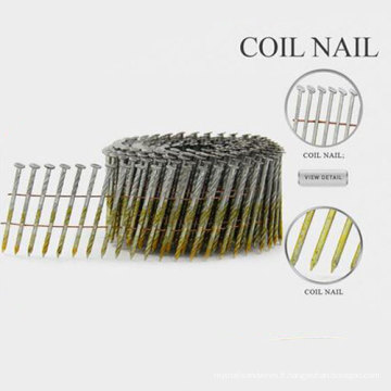 Hot Selling Common Nail Type Bobine Nails avec une bonne qualité